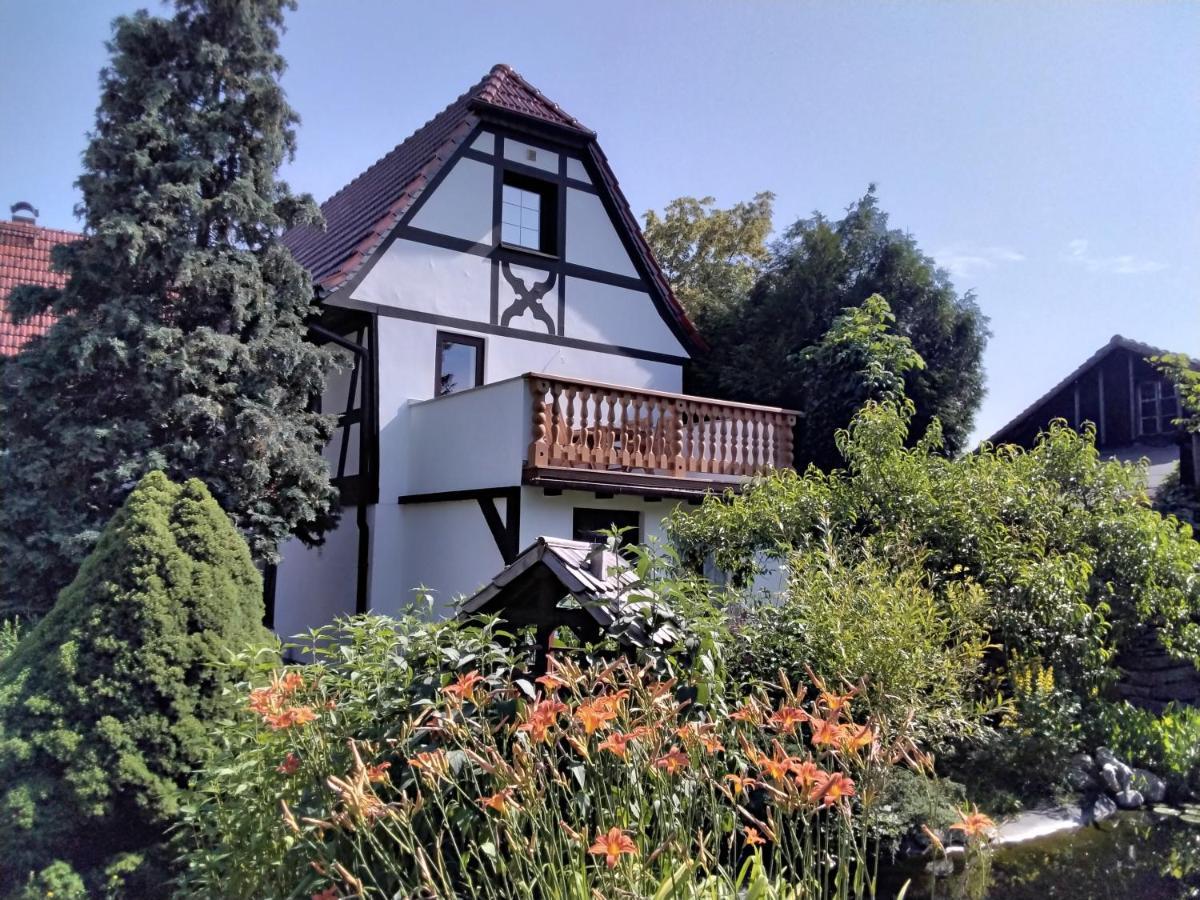 Pusteblume Apartment Groitzsch Exterior foto